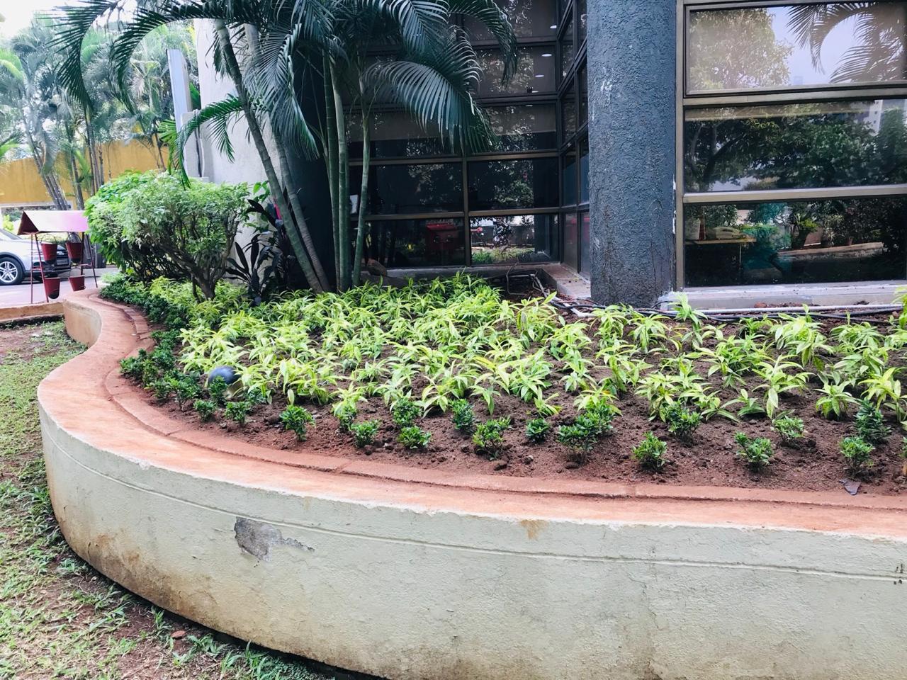 Commercial Project 16